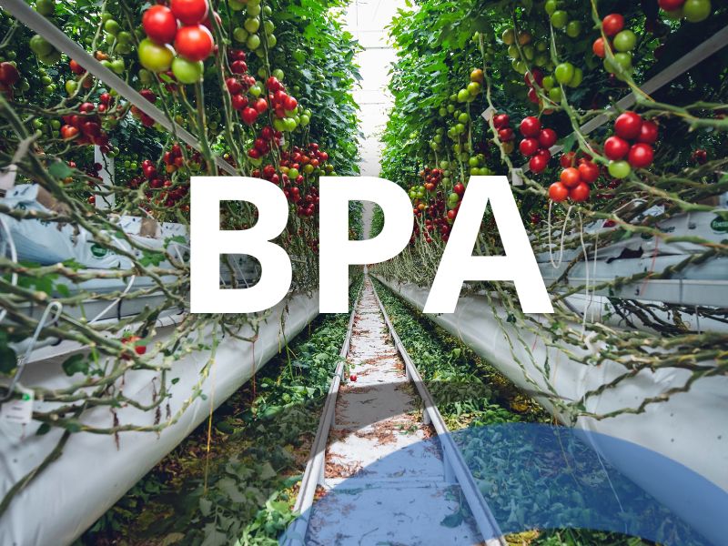 Buenas practicas agrícolas (BPA)