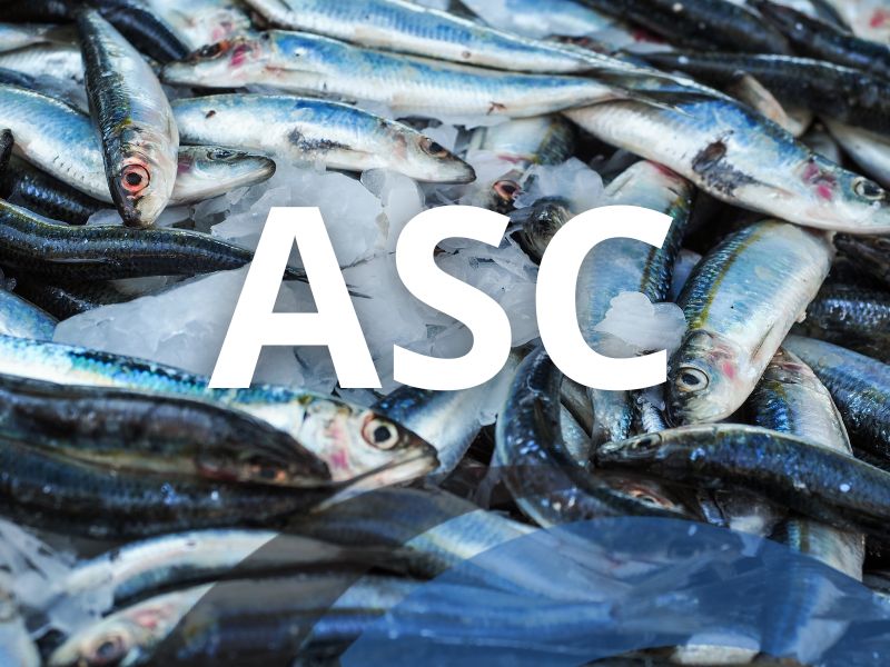 ASC