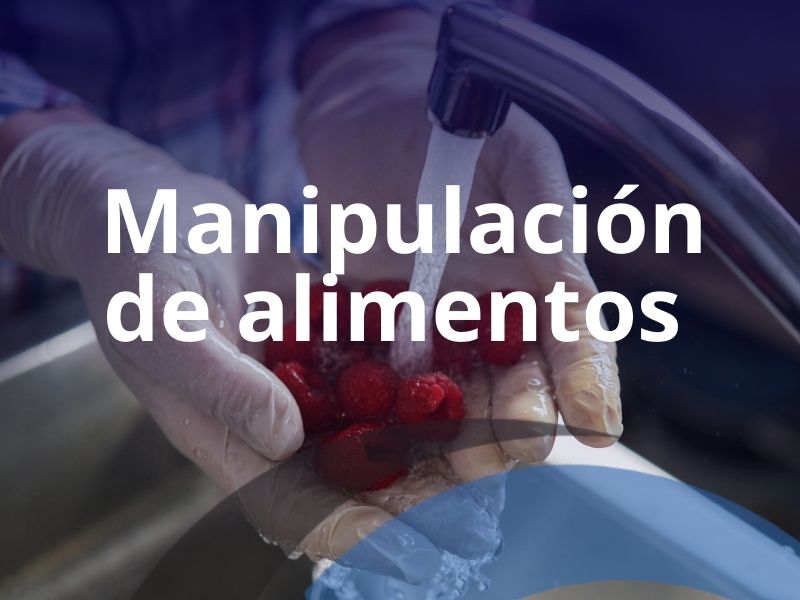 Protegido: Curso de Manipulación de Alimentos